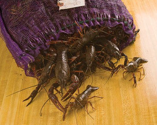 Crawfish Live Sack