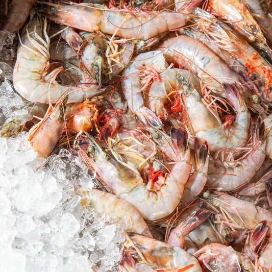 Fresh Shrimp